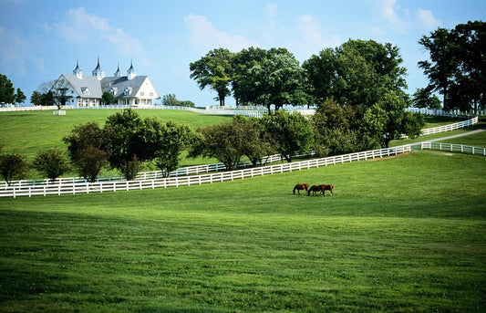 Welcome to the Bluegrass